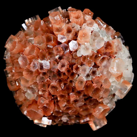 1.8" Aragonite Mineral Two Tone Crystal Cluster Specimen Tazouta Morocco - Fossil Age Minerals