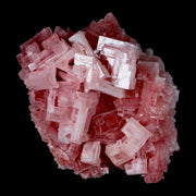 3.5" Quality Deep Pink Halite Salt Crystals Cluster Mineral Trona, CA Searles Lake