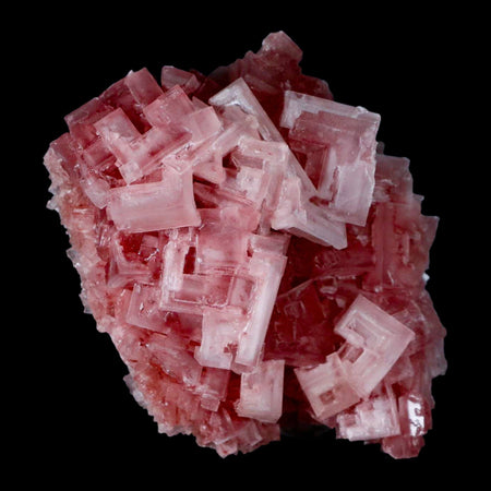 3.5" Quality Deep Pink Halite Salt Crystals Cluster Mineral Trona, CA Searles Lake