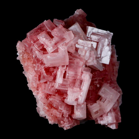 3.5" Quality Deep Pink Halite Salt Crystals Cluster Mineral Trona, CA Searles Lake - Fossil Age Minerals