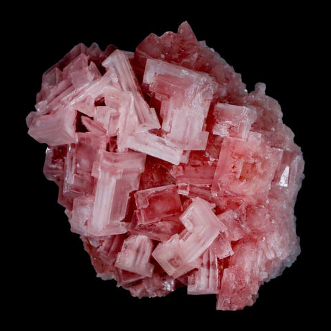 3.5" Quality Deep Pink Halite Salt Crystals Cluster Mineral Trona, CA Searles Lake - Fossil Age Minerals