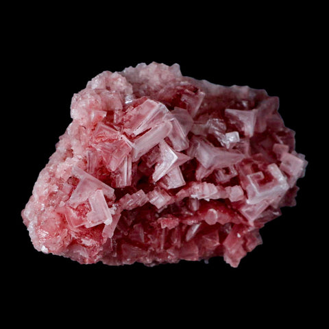 3.8" Quality Deep Pink Halite Salt Crystals Cluster Mineral Trona, CA Searles Lake - Fossil Age Minerals