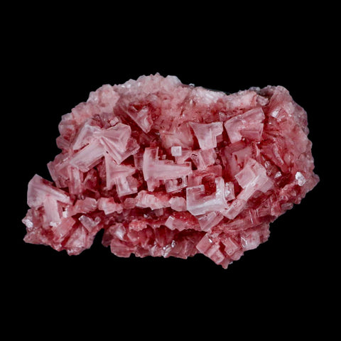 3.8" Quality Deep Pink Halite Salt Crystals Cluster Mineral Trona, CA Searles Lake - Fossil Age Minerals