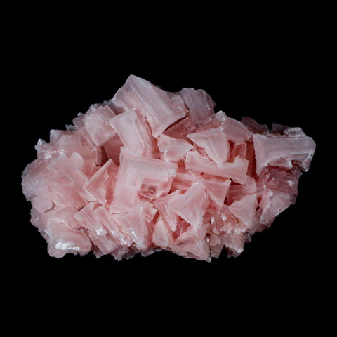 3.7" Quality Pink Halite Salt Crystals Cluster Mineral Trona, CA Searles Lake - Fossil Age Minerals