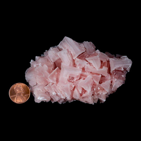 3.7" Quality Pink Halite Salt Crystals Cluster Mineral Trona, CA Searles Lake - Fossil Age Minerals