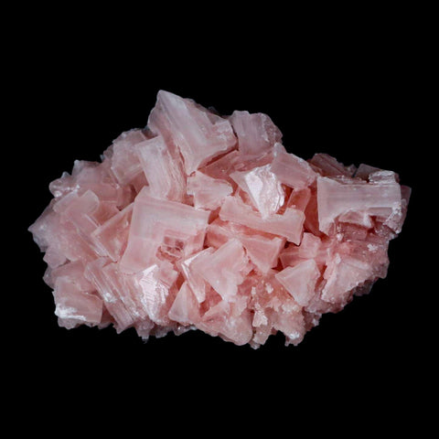 3.7" Quality Pink Halite Salt Crystals Cluster Mineral Trona, CA Searles Lake - Fossil Age Minerals