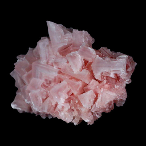 3.7" Quality Pink Halite Salt Crystals Cluster Mineral Trona, CA Searles Lake - Fossil Age Minerals