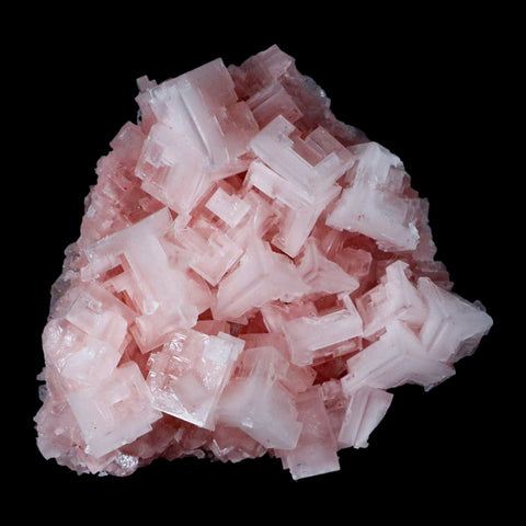 3.4" Quality Pink Halite Salt Crystals Cluster Mineral Trona, CA Searles Lake - Fossil Age Minerals