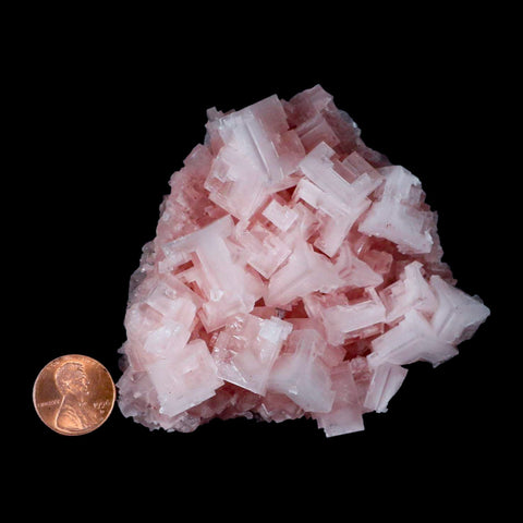 3.4" Quality Pink Halite Salt Crystals Cluster Mineral Trona, CA Searles Lake - Fossil Age Minerals