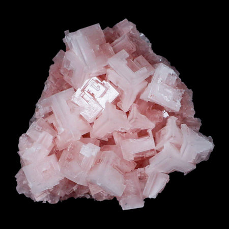 3.4" Quality Pink Halite Salt Crystals Cluster Mineral Trona, CA Searles Lake