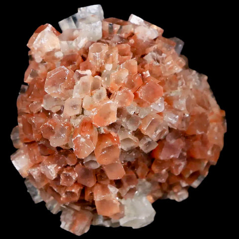 2.1" Aragonite Mineral Two Tone Crystal Cluster Specimen Tazouta Morocco - Fossil Age Minerals