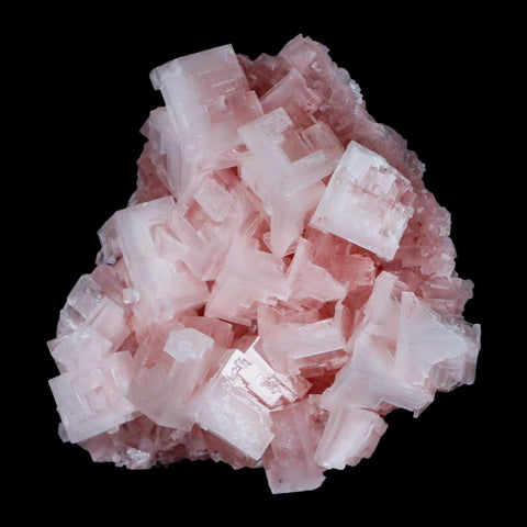 3.4" Quality Pink Halite Salt Crystals Cluster Mineral Trona, CA Searles Lake - Fossil Age Minerals