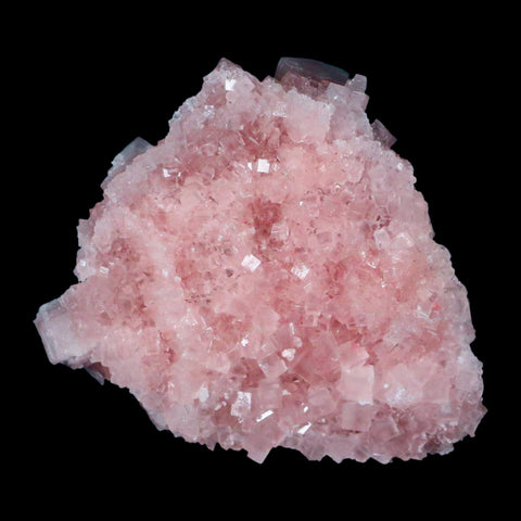 3.4" Quality Pink Halite Salt Crystals Cluster Mineral Trona, CA Searles Lake - Fossil Age Minerals