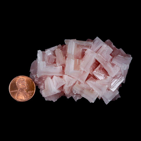 2.9" Quality Pink Halite Salt Crystals Cluster Mineral Trona, CA Searles Lake - Fossil Age Minerals