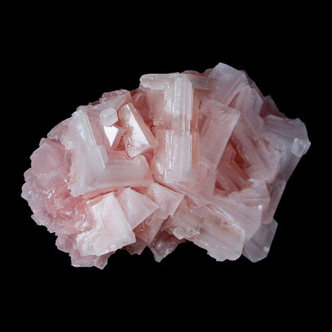 2.9" Quality Pink Halite Salt Crystals Cluster Mineral Trona, CA Searles Lake - Fossil Age Minerals