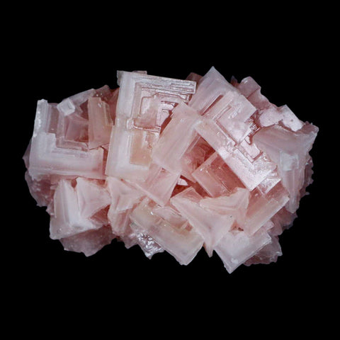 2.9" Quality Pink Halite Salt Crystals Cluster Mineral Trona, CA Searles Lake - Fossil Age Minerals