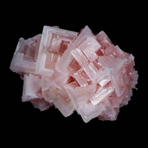 2.9" Quality Pink Halite Salt Crystals Cluster Mineral Trona, CA Searles Lake - Fossil Age Minerals