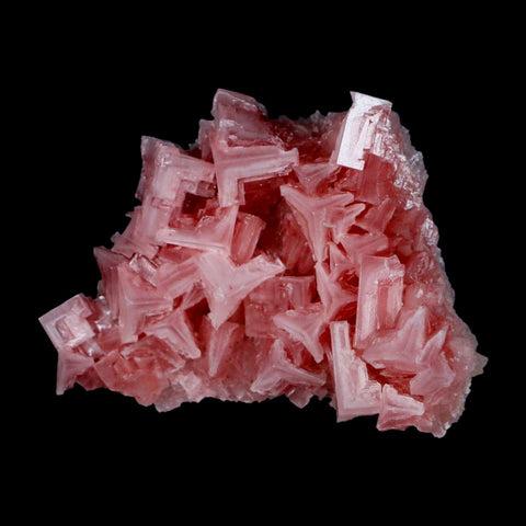 3.4" Quality Deep Pink Halite Salt Crystals Cluster Mineral Trona, CA Searles Lake - Fossil Age Minerals