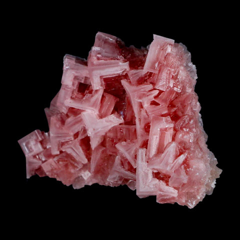 3.4" Quality Deep Pink Halite Salt Crystals Cluster Mineral Trona, CA Searles Lake - Fossil Age Minerals