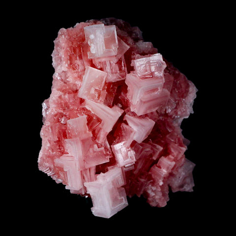 2.8" Quality Deep Pink Halite Salt Crystals Cluster Mineral Trona, CA Searles Lake - Fossil Age Minerals