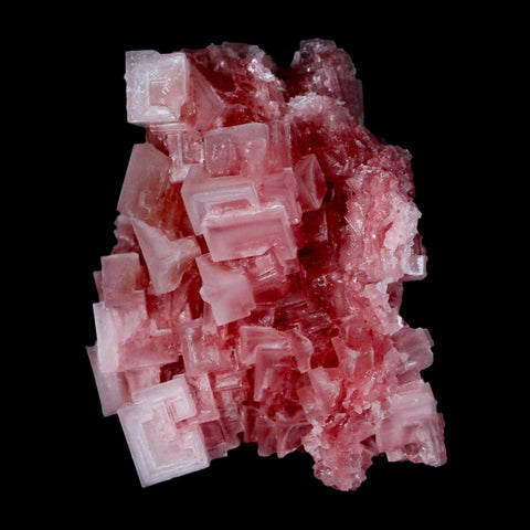 2.8" Quality Deep Pink Halite Salt Crystals Cluster Mineral Trona, CA Searles Lake - Fossil Age Minerals