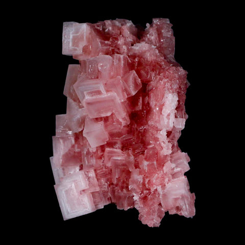 2.8" Quality Deep Pink Halite Salt Crystals Cluster Mineral Trona, CA Searles Lake - Fossil Age Minerals