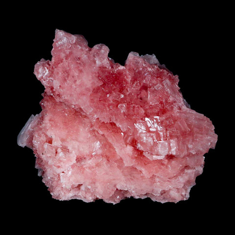 2.8" Quality Deep Pink Halite Salt Crystals Cluster Mineral Trona, CA Searles Lake - Fossil Age Minerals