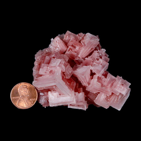 2.8" Quality Pink Halite Salt Crystals Cluster Mineral Trona, CA Searles Lake - Fossil Age Minerals