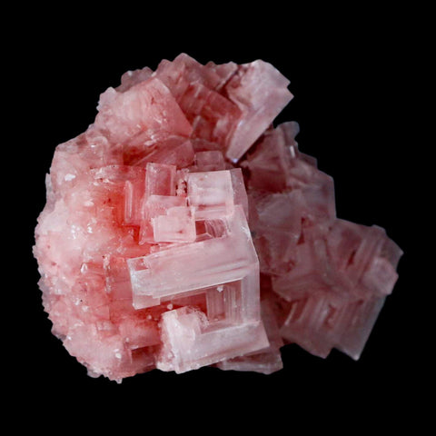 2.8" Quality Pink Halite Salt Crystals Cluster Mineral Trona, CA Searles Lake - Fossil Age Minerals