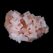 3.7" Quality Pink Halite Salt Crystals Cluster Mineral Trona, CA Searles Lake