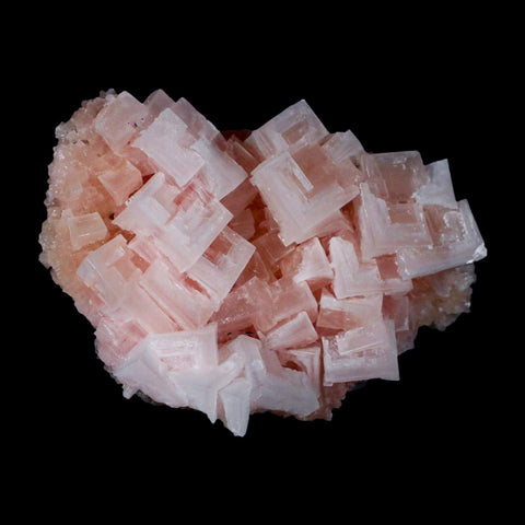 3.7" Quality Pink Halite Salt Crystals Cluster Mineral Trona, CA Searles Lake - Fossil Age Minerals