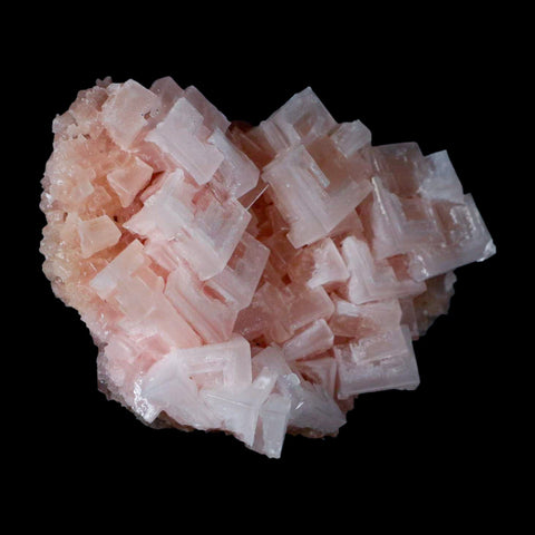 3.7" Quality Pink Halite Salt Crystals Cluster Mineral Trona, CA Searles Lake - Fossil Age Minerals