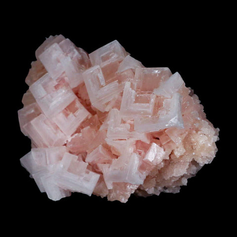 3.7" Quality Pink Halite Salt Crystals Cluster Mineral Trona, CA Searles Lake - Fossil Age Minerals