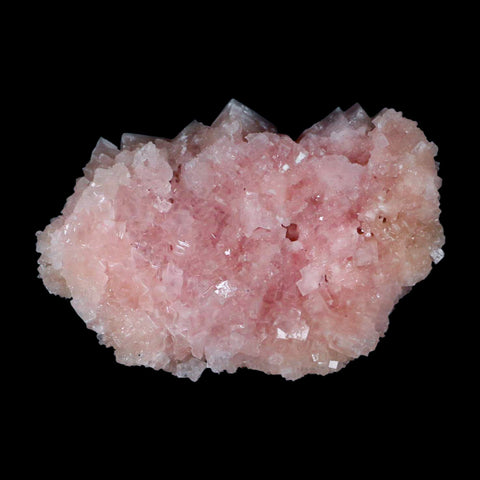 3.7" Quality Pink Halite Salt Crystals Cluster Mineral Trona, CA Searles Lake - Fossil Age Minerals