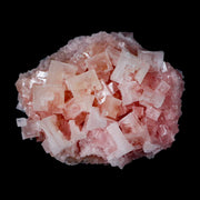 3.1" Quality Pink Halite Salt Crystals Cluster Mineral Trona, CA Searles Lake