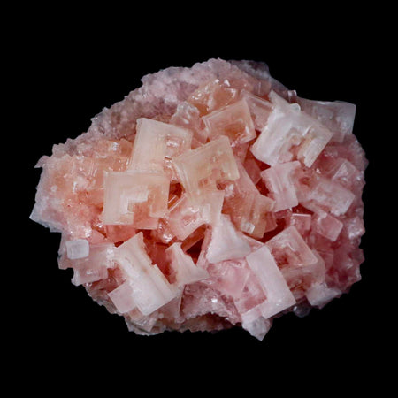 3.1" Quality Pink Halite Salt Crystals Cluster Mineral Trona, CA Searles Lake