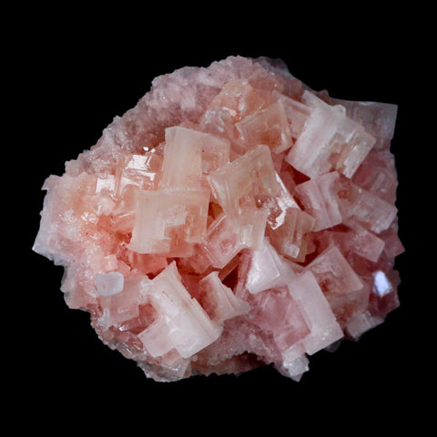 3.1" Quality Pink Halite Salt Crystals Cluster Mineral Trona, CA Searles Lake - Fossil Age Minerals