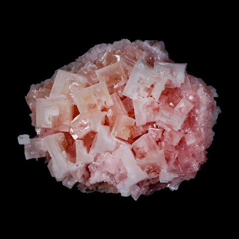 3.1" Quality Pink Halite Salt Crystals Cluster Mineral Trona, CA Searles Lake - Fossil Age Minerals