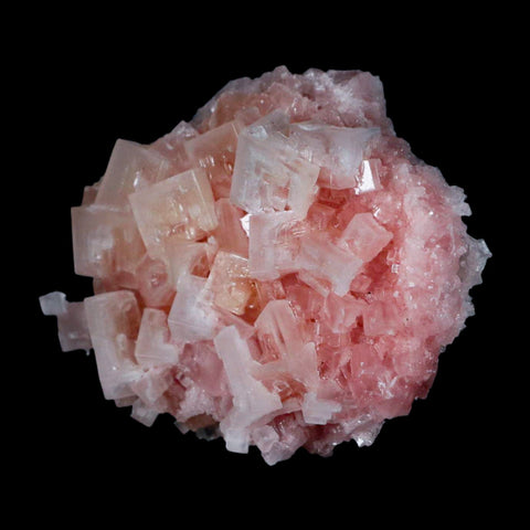 3.1" Quality Pink Halite Salt Crystals Cluster Mineral Trona, CA Searles Lake - Fossil Age Minerals