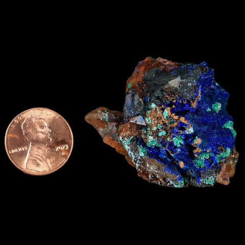 1.9" Azurite Crystals & Malachite On Crystal Mineral Specimen Tiznit Morocco - Fossil Age Minerals