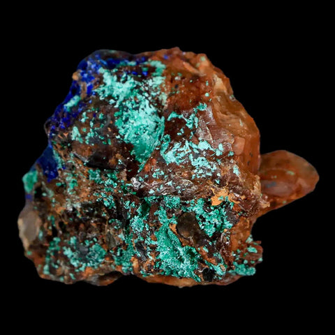 1.9" Azurite Crystals & Malachite On Crystal Mineral Specimen Tiznit Morocco - Fossil Age Minerals