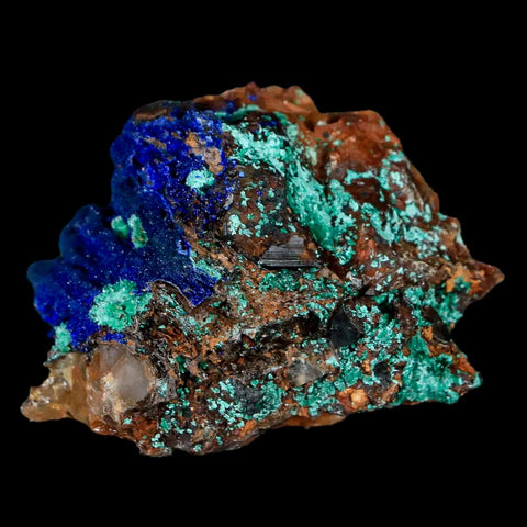 1.9" Azurite Crystals & Malachite On Crystal Mineral Specimen Tiznit Morocco - Fossil Age Minerals