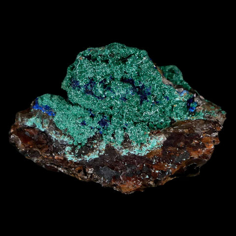 1.8" Malachite Crystals & Azurite On Crystal Mineral Specimen Tiznit Morocco - Fossil Age Minerals