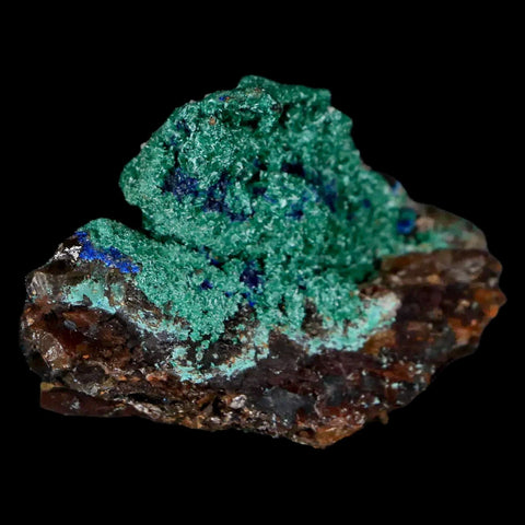 1.8" Malachite Crystals & Azurite On Crystal Mineral Specimen Tiznit Morocco - Fossil Age Minerals