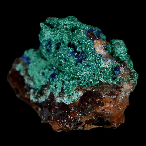 1.8" Malachite Crystals & Azurite On Crystal Mineral Specimen Tiznit Morocco - Fossil Age Minerals