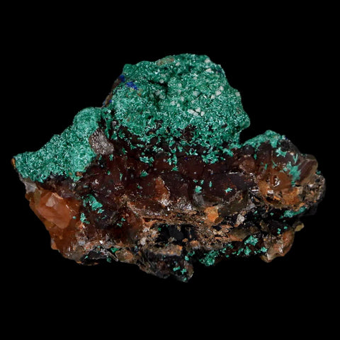 1.8" Malachite Crystals & Azurite On Crystal Mineral Specimen Tiznit Morocco - Fossil Age Minerals