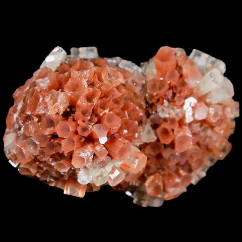 2.2" Aragonite Mineral Two Tone Crystal Cluster Specimen Tazouta Morocco - Fossil Age Minerals