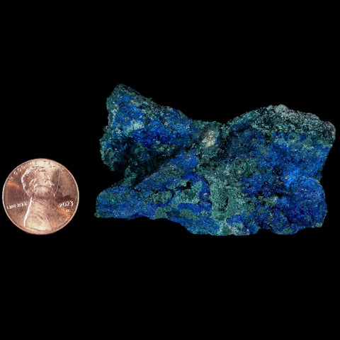 2.2" Rough Azurite Crystals And Malachite Mineral Specimen Tiznit Morocco - Fossil Age Minerals