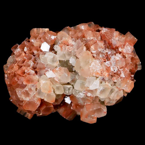 2.2" Aragonite Mineral Two Tone Crystal Cluster Specimen Tazouta Morocco - Fossil Age Minerals