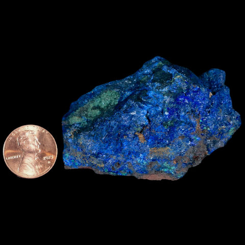 2.4" Rough Azurite Crystals And Malachite Mineral Specimen Tiznit Morocco - Fossil Age Minerals